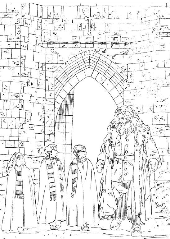 Fisă de colorat cu Harry potter de colorat p14