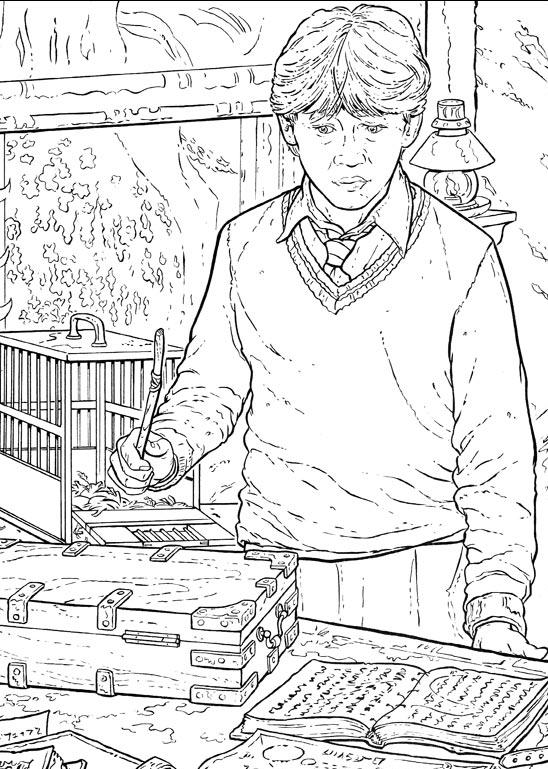 Fisă de colorat cu Harry potter de colorat p20