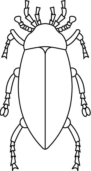 Fisă de colorat cu Insecte de colorat p01