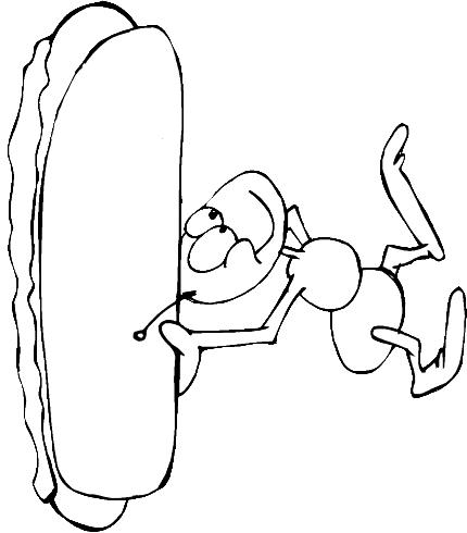 Fisă de colorat cu Insecte de colorat p15