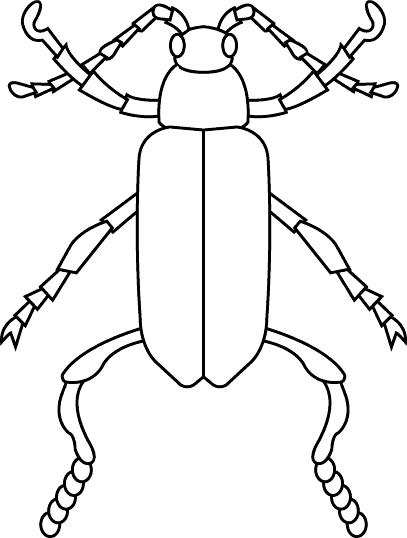 Fisă de colorat cu Insecte de colorat p25