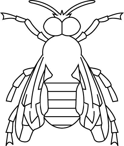 Fisă de colorat cu Insecte de colorat p27