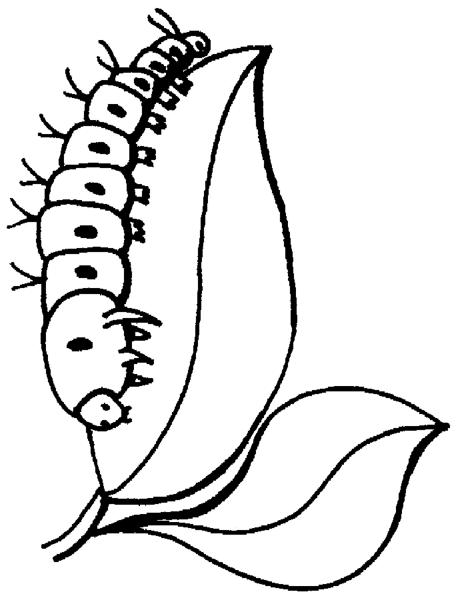 Fisă de colorat cu Insecte de colorat p34