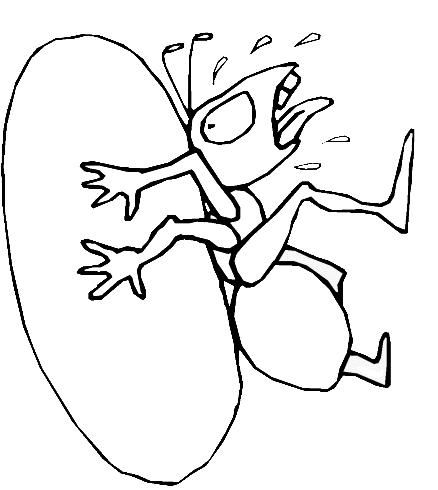 Fisă de colorat cu Insecte de colorat p41