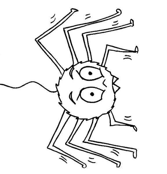 Fisă de colorat cu Insecte paianjeni de colorat p03