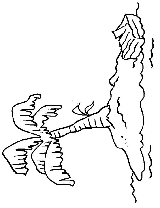 Fisă de colorat cu Insule de colorat p06