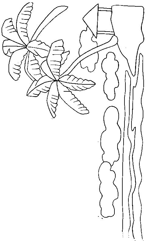 Fisă de colorat cu Insule de colorat p12