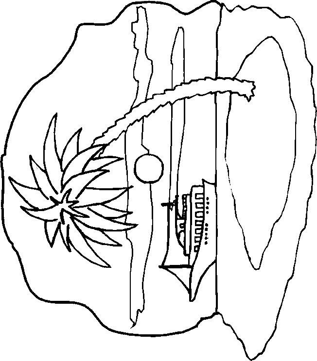 Fisă de colorat cu Insule de colorat p14