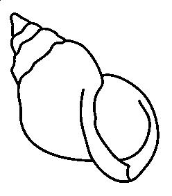 Fisă de colorat cu La mare de colorat p56