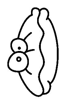 Fisă de colorat cu La mare de colorat p58