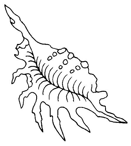 Fisă de colorat cu La mare de colorat p66