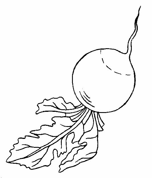 Fisă de colorat cu Legume de colorat p07