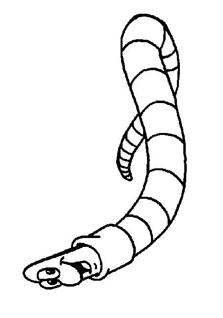 Fisă de colorat cu Maya the bee de colorat p17