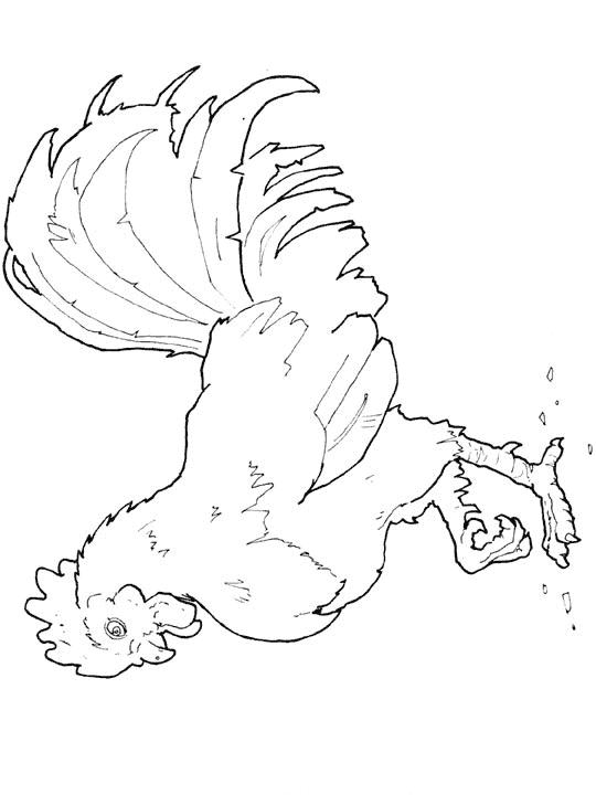 Fisă de colorat cu Pasari de colorat p22