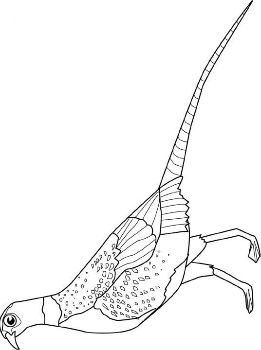 Fisă de colorat cu Pasari de colorat p32