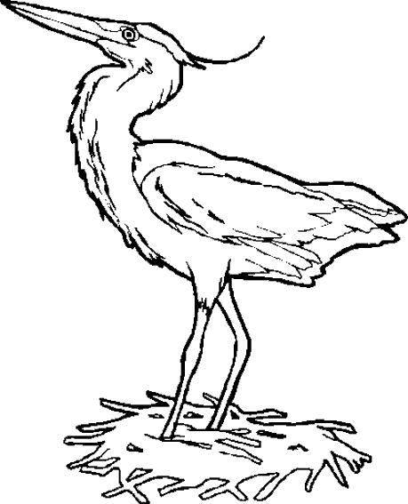 Fisă de colorat cu Pasari de colorat p40