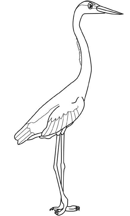 Fisă de colorat cu Pasari de colorat p41