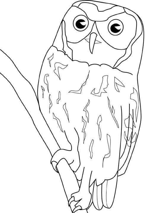 Fisă de colorat cu Pasari de colorat p44