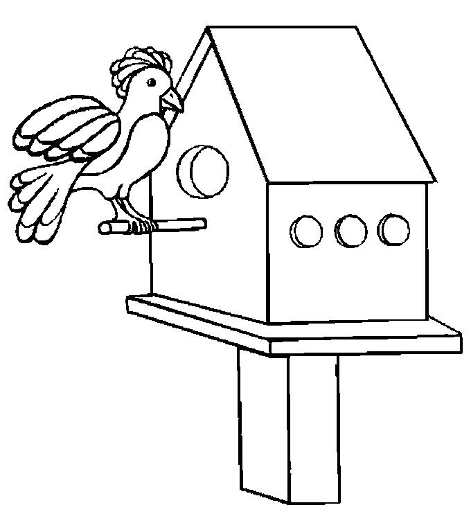 Fisă de colorat cu Pasari de colorat p52