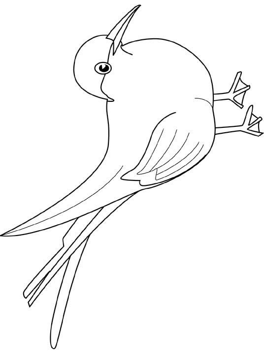 Fisă de colorat cu Pasari de colorat p57