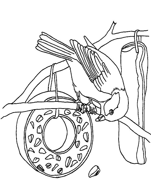 Fisă de colorat cu Pasari de colorat p72