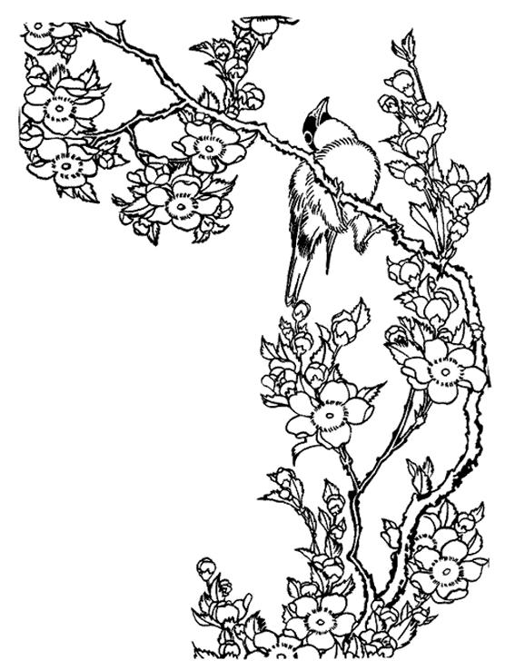 Fisă de colorat cu Pasari de colorat p78