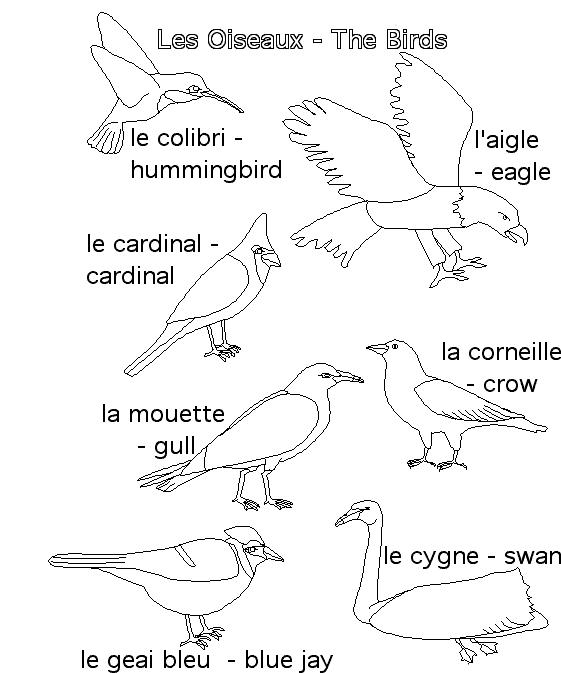 Fisă de colorat cu Pasari de colorat p80