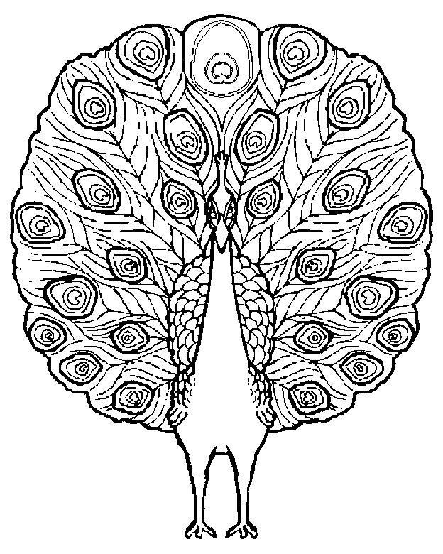 Fisă de colorat cu Pasari de colorat p82