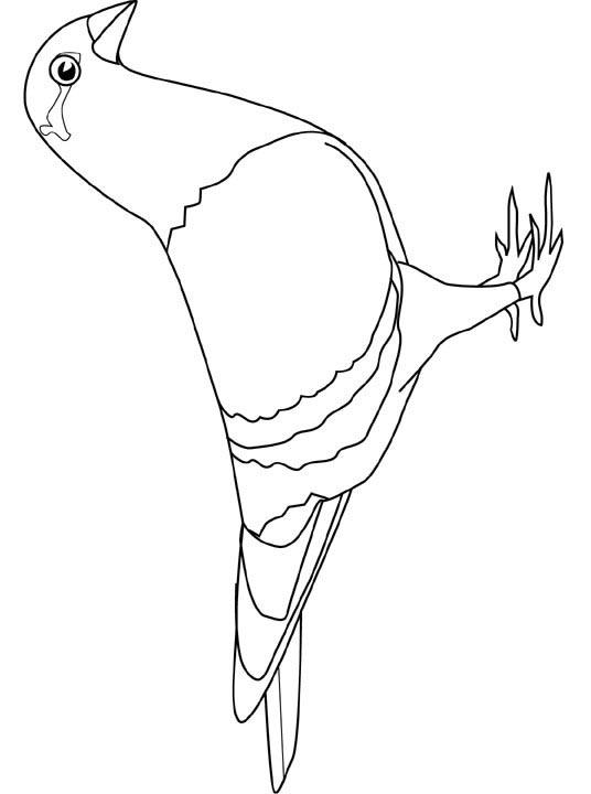 Fisă de colorat cu Pasari de colorat p94