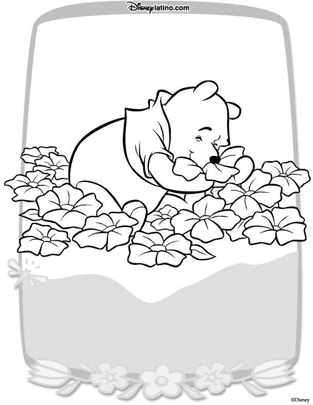 Fisă de colorat cu Paste de colorat p245