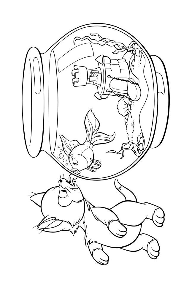 Fisă de colorat cu Pinocchio de colorat p29