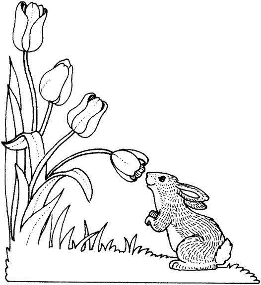 Fisă de colorat cu Primavara de colorat p115