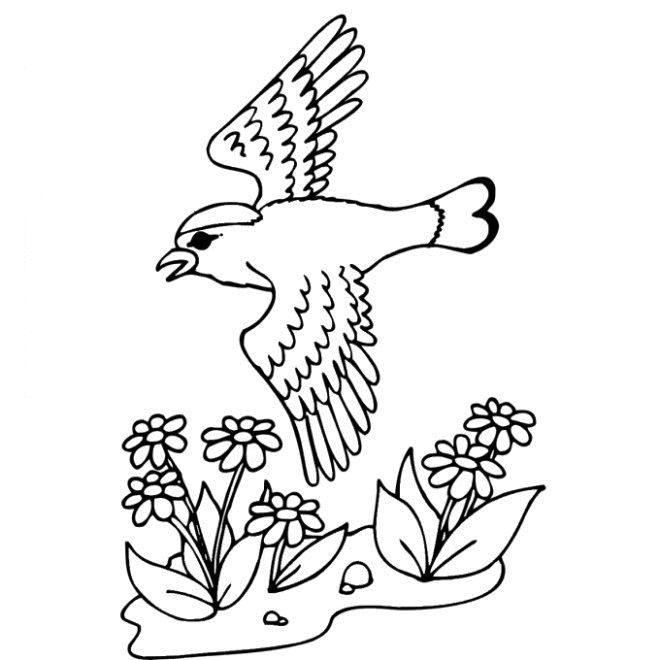 Fisă de colorat cu Primavara de colorat p116