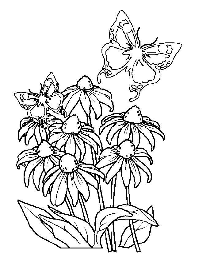 Fisă de colorat cu Primavara de colorat p120