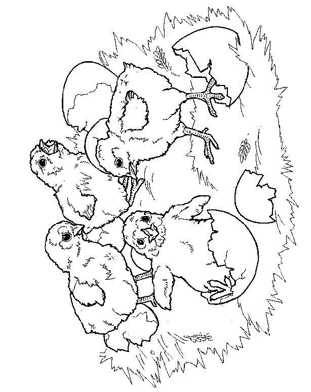 Fisă de colorat cu Primavara de colorat p125