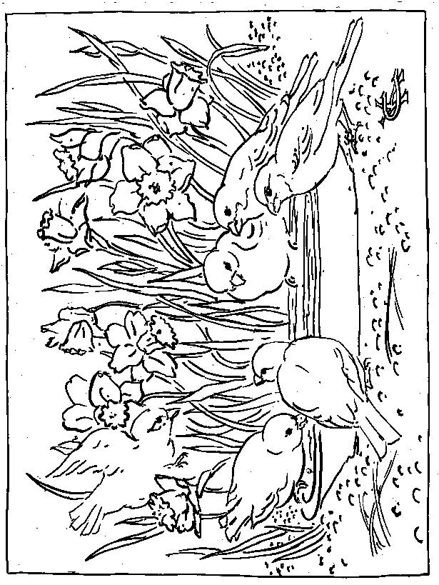 Fisă de colorat cu Primavara de colorat p33