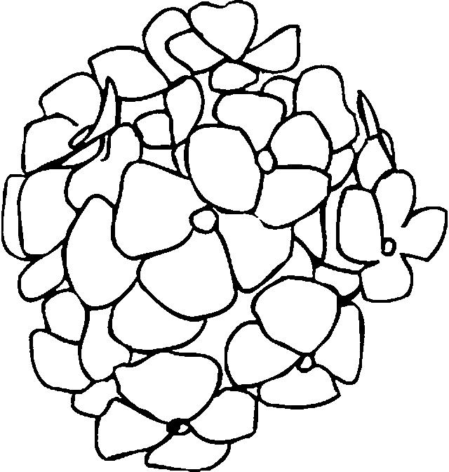 Fisă de colorat cu Primavara de colorat p34