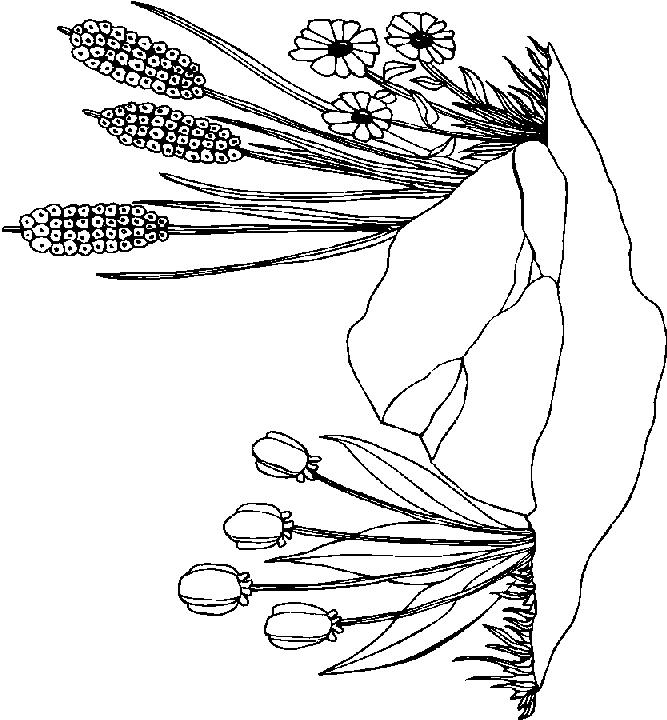 Fisă de colorat cu Primavara de colorat p38