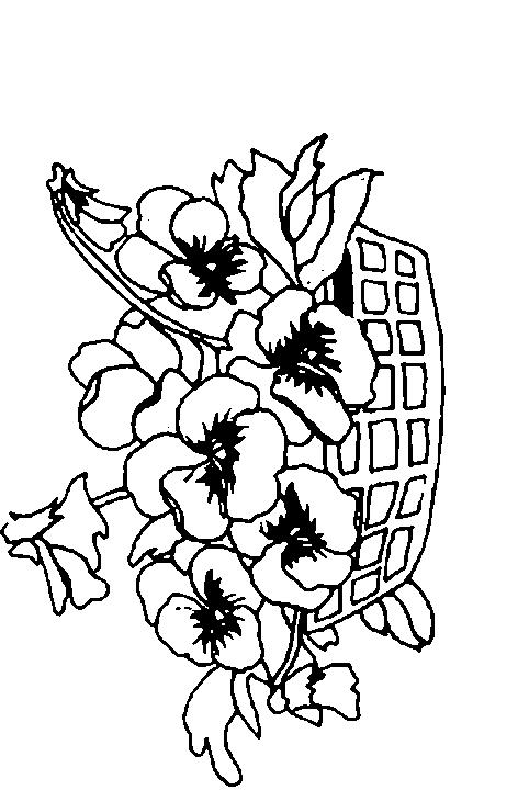 Fisă de colorat cu Primavara de colorat p40