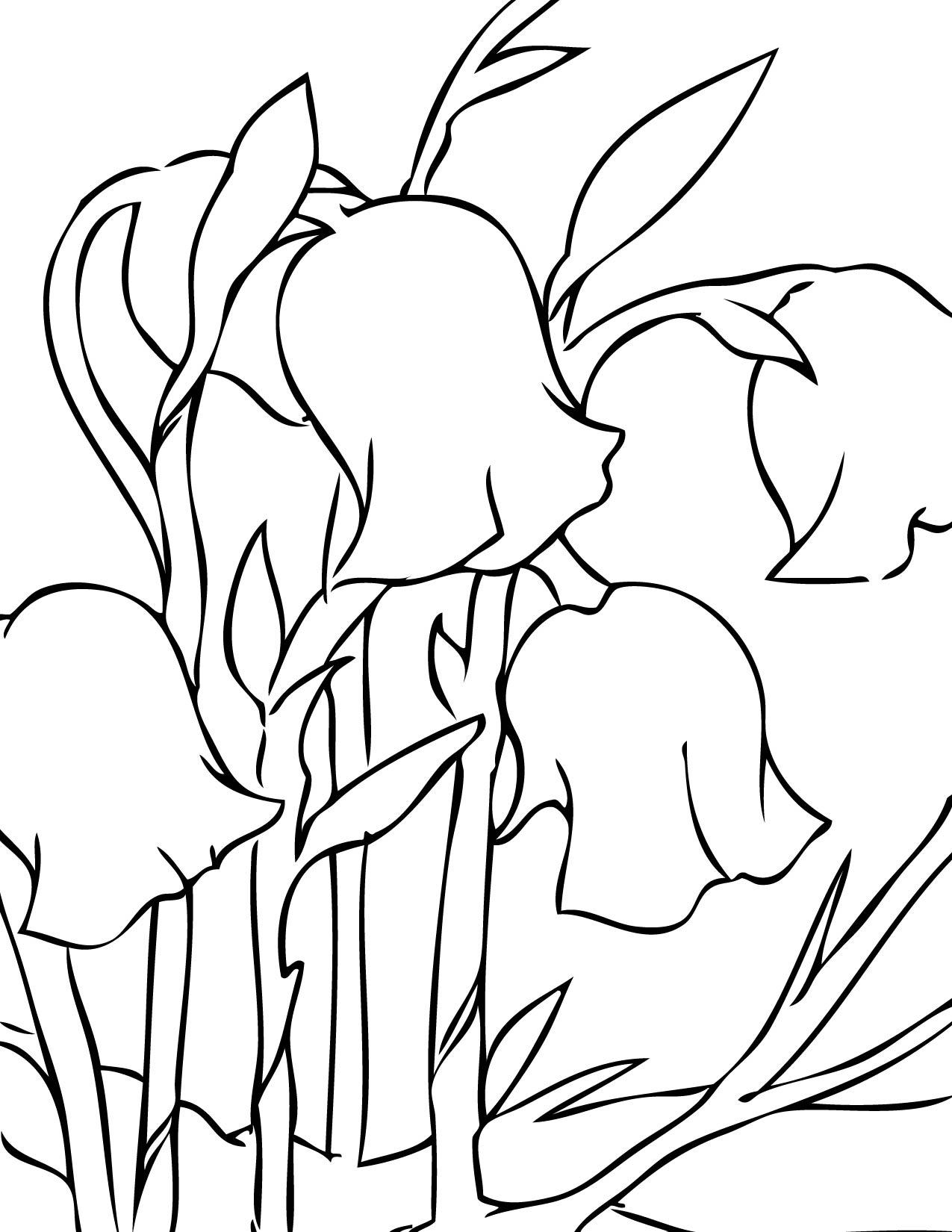 Fisă de colorat cu Primavara de colorat p42