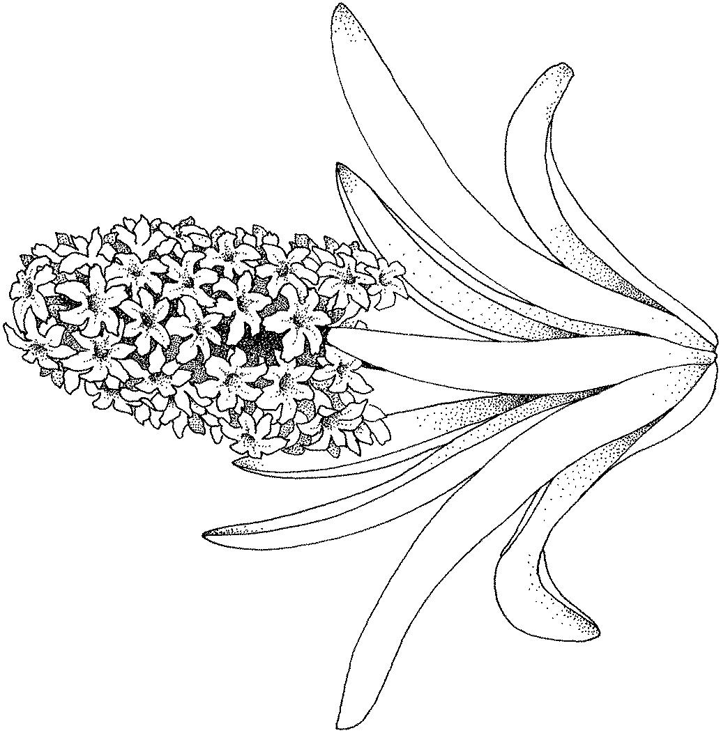 Fisă de colorat cu Primavara de colorat p45