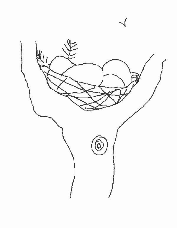 Fisă de colorat cu Primavara de colorat p53