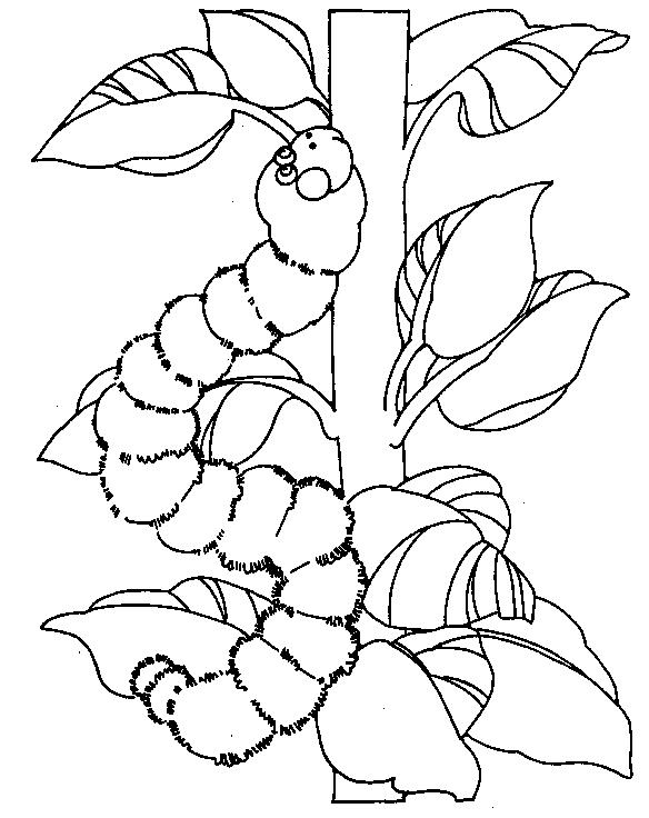 Fisă de colorat cu Primavara de colorat p95