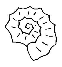 Fisă de colorat cu Scoici de colorat p09