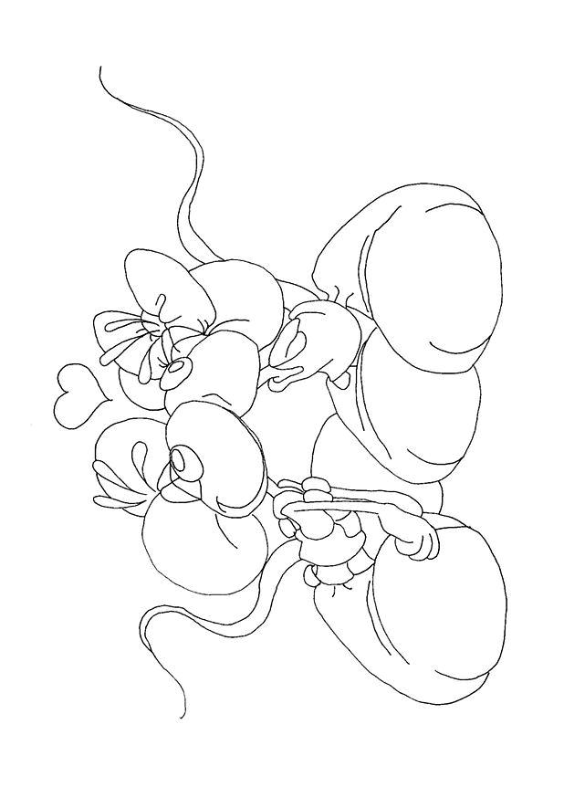 Fisă de colorat cu Sfantul valentin de colorat p39