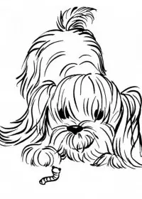 Catelusi de colorat p14