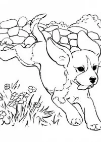 Catelusi de colorat p16