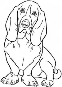 Catelusi de colorat p11