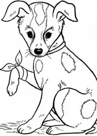 Catelusi de colorat p12