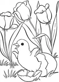 Peisaje Primavara de colorat p10